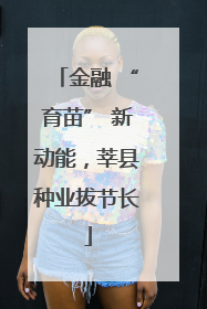 金融 “育苗” 新动能，莘县种业拔节长