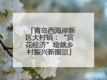青岛西海岸新区大村镇：“赏花经济”绘就乡村振兴新图景