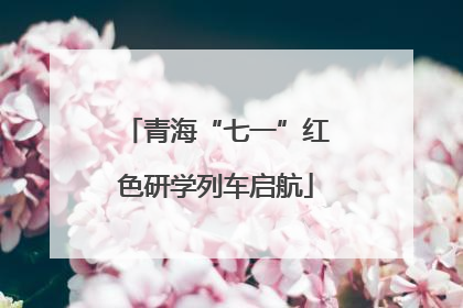 青海“七一”红色研学列车启航
