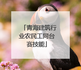 青海建筑行业农民工同台赛技能