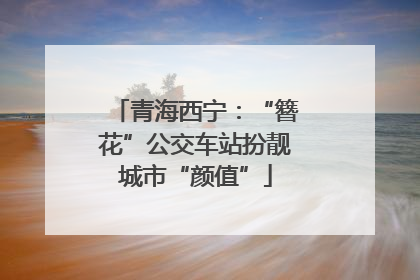 青海西宁：“簪花”公交车站扮靓城市“颜值”