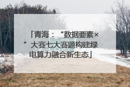 青海：“数据要素×”大赛七大赛题构建绿电算力融合新生态