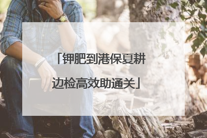 钾肥到港保夏耕 边检高效助通关
