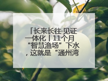 长来长往·见证一体化丨11个月“智慧渔场”下水，这就是“通州湾速度”！