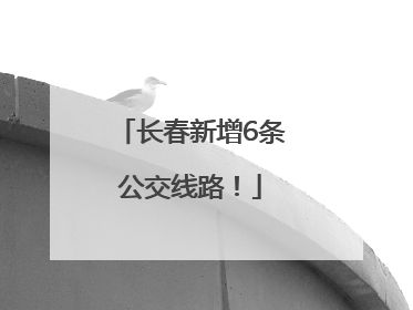 长春新增6条公交线路！