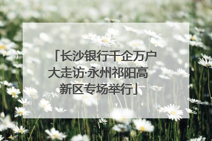 长沙银行千企万户大走访·永州祁阳高新区专场举行
