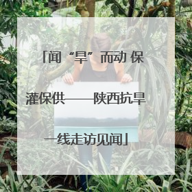 闻“旱”而动 保灌保供——陕西抗旱一线走访见闻