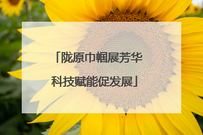 陇原巾帼展芳华 科技赋能促发展