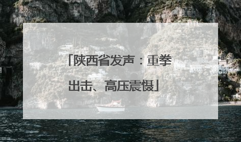 陕西省发声：重拳出击、高压震慑