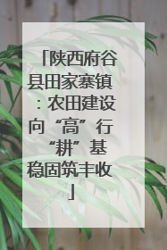 陕西府谷县田家寨镇：农田建设向“高”行 “耕”基稳固筑丰收