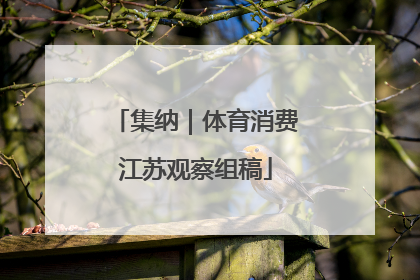集纳｜体育消费江苏观察组稿