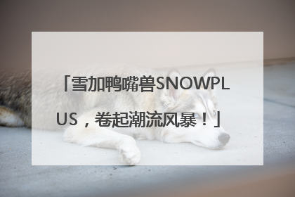 雪加鸭嘴兽SNOWPLUS，卷起潮流风暴！