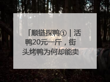 顺链探鸭①｜活鸭20元一斤，街头烤鸭为何却能卖到20多元一只
