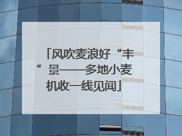 风吹麦浪好“丰”景——多地小麦机收一线见闻