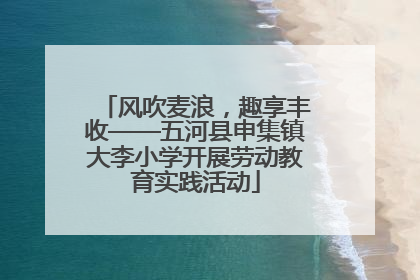 风吹麦浪，趣享丰收——五河县申集镇大李小学开展劳动教育实践活动