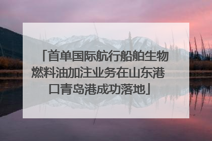 首单国际航行船舶生物燃料油加注业务在山东港口青岛港成功落地