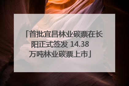 首批宜昌林业碳票在长阳正式签发 14.38万吨林业碳票上市