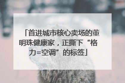 首进城市核心卖场的董明珠健康家，正撕下“格力=空调”的标签