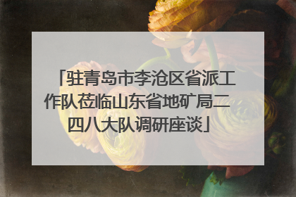 驻青岛市李沧区省派工作队莅临山东省地矿局二四八大队调研座谈