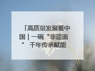 高质量发展看中国｜一碗“非遗面” 千年传承赋能文旅融合发展