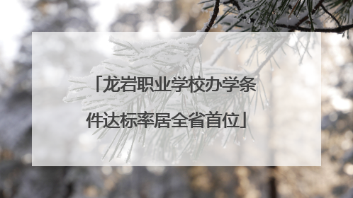 龙岩职业学校办学条件达标率居全省首位