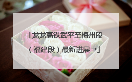 龙龙高铁武平至梅州段（福建段）最新进展→