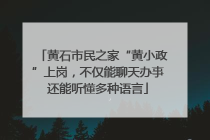 黄石市民之家“黄小政”上岗，不仅能聊天办事还能听懂多种语言