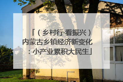 （乡村行·看振兴）内蒙古乡镇经济新变化：小产业累积大民生
