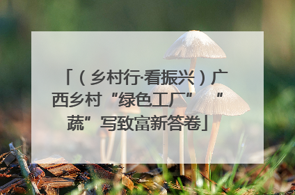 （乡村行·看振兴）广西乡村“绿色工厂” “蔬”写致富新答卷