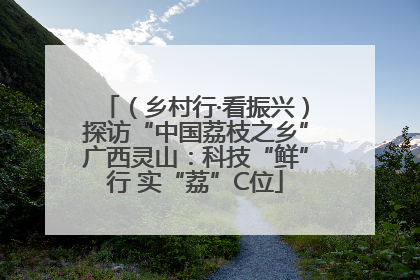 （乡村行·看振兴）探访“中国荔枝之乡”广西灵山：科技“鲜”行 实“荔”C位