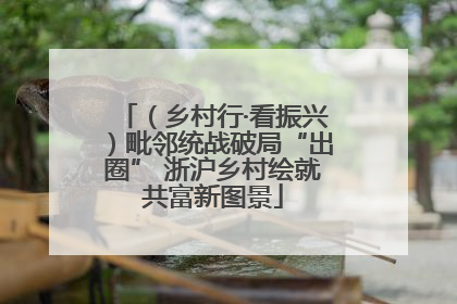 （乡村行·看振兴）毗邻统战破局“出圈” 浙沪乡村绘就共富新图景