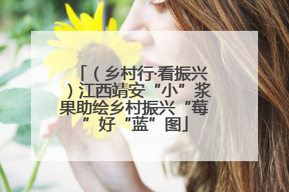 （乡村行·看振兴）江西靖安“小”浆果助绘乡村振兴“莓”好“蓝”图