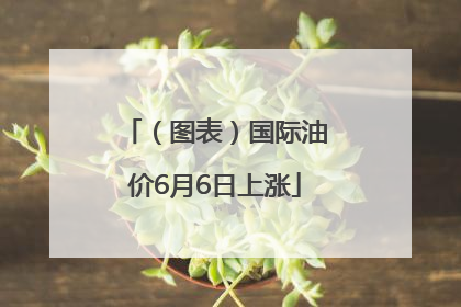 （图表）国际油价6月6日上涨