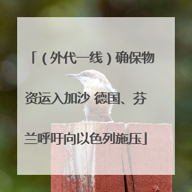 （外代一线）确保物资运入加沙 德国、芬兰呼吁向以色列施压