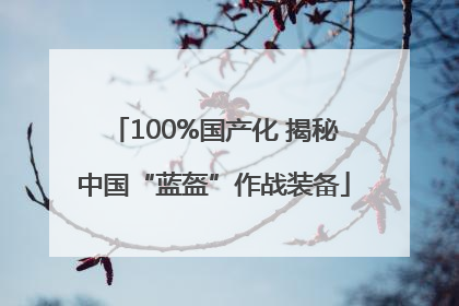 100%国产化 揭秘中国“蓝盔”作战装备