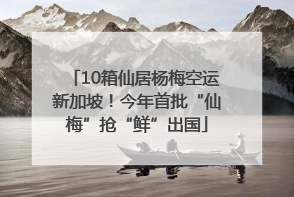 10箱仙居杨梅空运新加坡！今年首批“仙梅”抢“鲜”出国