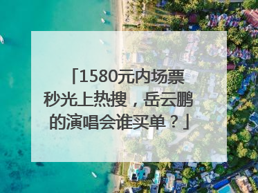 1580元内场票秒光上热搜，岳云鹏的演唱会谁买单？