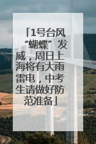 1号台风“蝴蝶”发威，周日上海将有大雨雷电，中考生请做好防范准备
