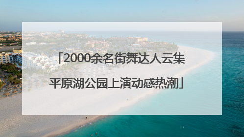 2000余名街舞达人云集 平原湖公园上演动感热潮