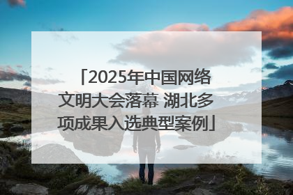 2025年中国网络文明大会落幕 湖北多项成果入选典型案例