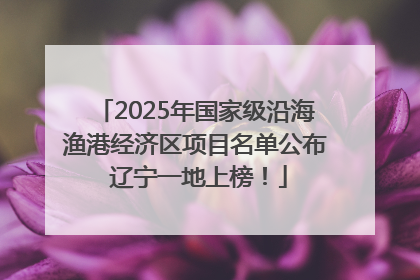 2025年国家级沿海渔港经济区项目名单公布 辽宁一地上榜！