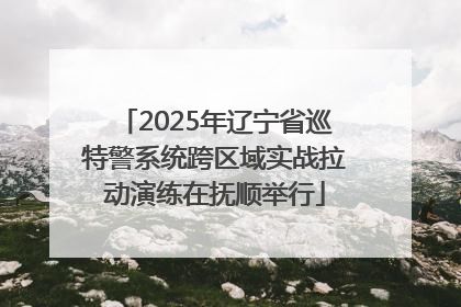 2025年辽宁省巡特警系统跨区域实战拉动演练在抚顺举行