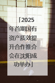 2025年首期国有资产质效提升合作推介会在沈阳成功举办