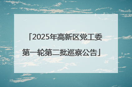 2025年高新区党工委第一轮第二批巡察公告