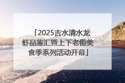2025吉水清水龙虾品鉴汇暨上下老街美食季系列活动开幕