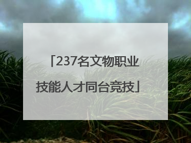 237名文物职业技能人才同台竞技