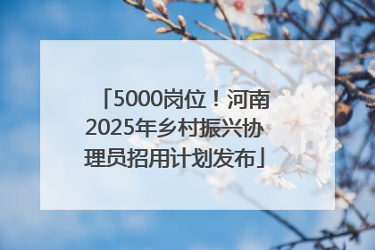 5000岗位！河南2025年乡村振兴协理员招用计划发布