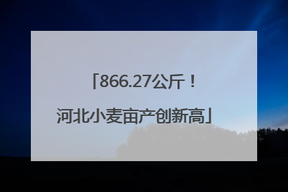 866.27公斤！河北小麦亩产创新高