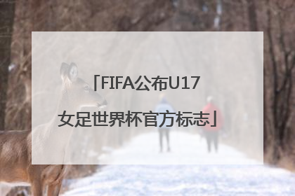 FIFA公布U17女足世界杯官方标志